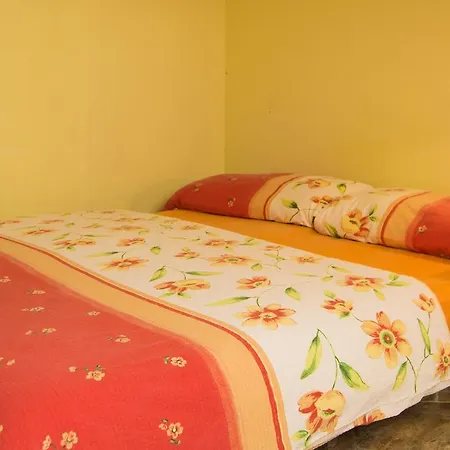 Apartment Barisic Hrvatskih Zrtava 404 Seget Vranjica *