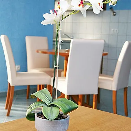 Barisic Hrvatskih Zrtava 404 Seget Vranjica Apartament