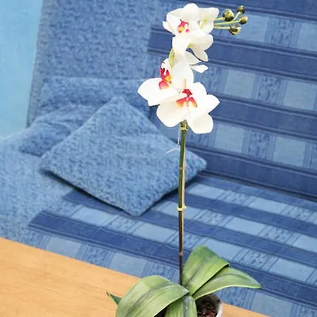 Barisic Hrvatskih Zrtava 404 Seget Vranjica