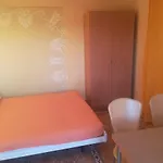 Barisic Hrvatskih Zrtava 404 Seget Vranjica Apartment *